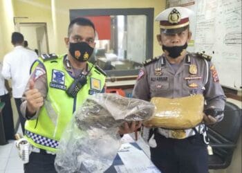 Akibat Langgar Marka Jalan di Padang, Dua Karung Ganja Ditemukan di Kontrakan