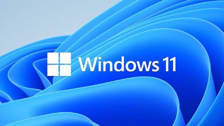 Windows 11