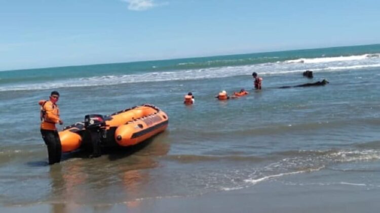 Mandi-mandi, Dua Bocah Ditemukan Meninggal Tenggelam di Pantai Tiram 1 Evakuasi bocah hanyut di Pantai Tiram oleh Tim SAR.