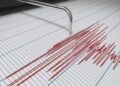 Gempa Tektonik M 6,1 Terjadi di Maluku Tengah, Ini Analisis BMKG