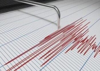Gempa Tektonik M 6,1 Terjadi di Maluku Tengah, Ini Analisis BMKG