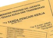 Menaker Pastikan Pembuatan Kartu Kuning Gratis