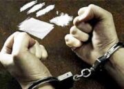 Jualan Sabu, Pemuda Pengangguran Ditangkap Polisi di Dharmasraya