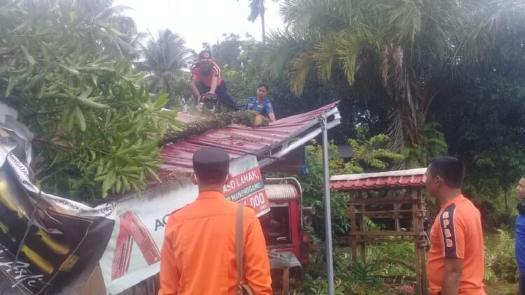 Petugas BPBD membersihkan pohon tumbang di Agam.