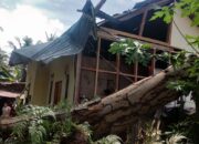 Pohon Tumbang di Padang, Satu Unit Motor Ringsek