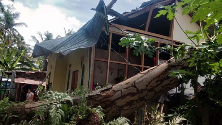 Sebuah rumah tertimpa pohon di Padang.