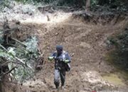 Akibat Pembangunan Jalan Perkebunan, 4.172 Meter Lahan Suaka Margasatwa Malampa Pasaman Rusak