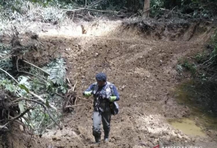 Petugas BKSDA Sumbar sedang berada di lokasi pembukaan jalan, Rabu (30/6).