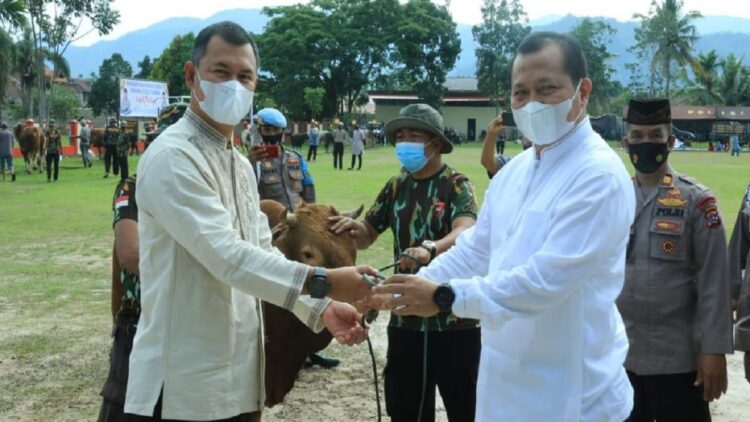 Polda Sumbar serahkan satu ekor sapi kurban untuk PWI.