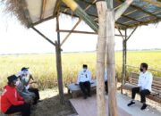 Stok Beras Surplus, Mentan: Tak Ada Impor dan PPN Sembako Umum