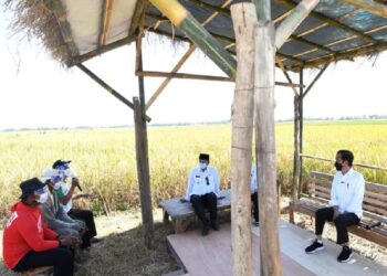 Stok Beras Surplus, Mentan: Tak Ada Impor dan PPN Sembako Umum