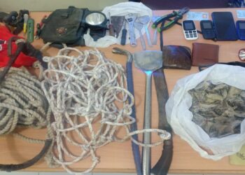 Maling Sarang Burung Walet di Padang, Empat Buruh Bangunan Diciduk