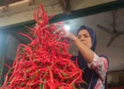 Harga Cabai di Payakumbuh Terus Turun Pascalebaran Idul Adha 2021