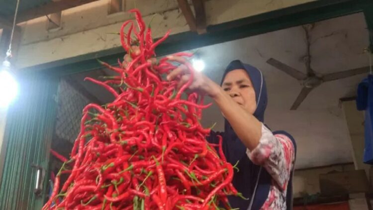 Harga Cabai di Payakumbuh Terus Turun Pascalebaran Idul Adha 2021 1 ilustrasi cabai. (Foto: Dok. Istimewa)