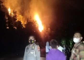 Kebakaran 10 Hektare Lahan di Pessel, Petugas Gabungan Kesulitan
