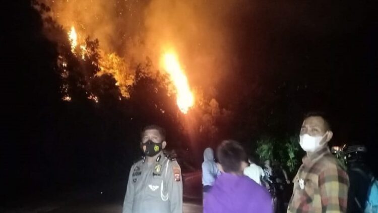 Kebakaran lahan di Pessel. (istimewa)