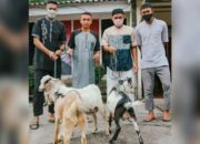 Semen Padang FC Kurban 3 Ekor Kambing di Hari Raya Kurban