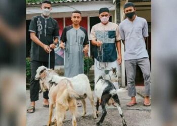Semen Padang FC Kurban 3 Ekor Kambing di Hari Raya Kurban