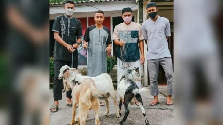 Kurban kambing Semen Padang FC.