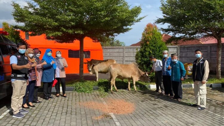 Kurban sapi Semen Padang Hospital.