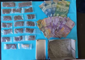 Seorang Pengedar Ditangkap di Pessel, Belasan paket Ganja Disita