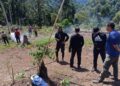 Polisi Musnahkan 7 Hektare Ladang Ganja di Gunung Lauser, Ratusan Kilogram Diamankan