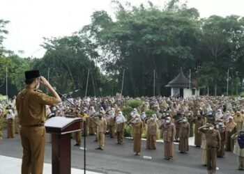 Pemko Bukittinggi Resmi Buka Pendaftaran CPNS