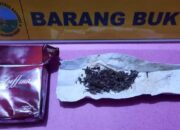 Polres Pasaman Barat Temukan Narkoba saat Tangkap Pelaku Pencurian Buah Sawit