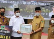 Gubernur Mahyeldi Serahkan Sapi Bantuan Jokowi ke Masjid Raya Sumbar