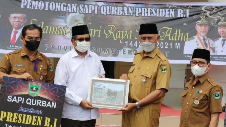 Gubernur Mahyeldi Serahkan Sapi Bantuan Jokowi ke Masjid Raya Sumbar 1 Penyerahan sapi kurban dari Presiden Jokowi ke Masjid Raya Sumbar oleh Gubernur Mahyeldi.