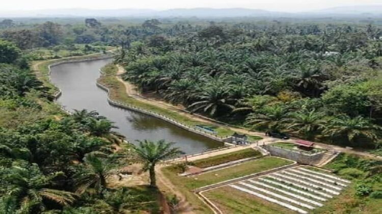 Dharmasraya masih Sisakan Tiga Nagari Tertinggal pada Tahun 2021 1 View pemandangan alam Nagari Sungai Duo Kecamatan Sitiung, Kabupaten Dharmasraya, Sumatera Barat. Nagari tersebut berhasil meraih peningkatan status Nagari Mandiri berdasarkan Indeks Desa Membangun (IDM), pada 2021.