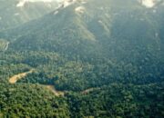 Termasuk Indonesia, Ini Deretan Situs Warisan Dunia UNESCO yang Terancam Bahaya