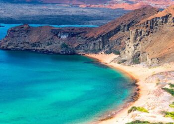 Satwa Liar Hingga Spesies Unik, Surga Tersembunyi Pulau Galapagos