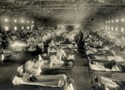 Selain COVID-19, Ini 6 Penyakit Lain yang Jadi Pandemi