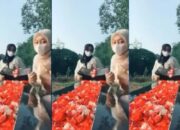 Joget TikTok di Makam Orang Tuanya, Dua Cewek Ini Viral, Netizen: Demi Konten Sampe Segitunya