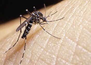 Kendalikan Penularan Penyakit, China Gunakan Teknologi Nuklir Basmi Nyamuk