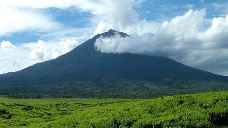 Jelang Peringatan HUT RI ke-74 sampai 20 Agustus, Gunung Talang Ditutup! 1 Gunung Talang