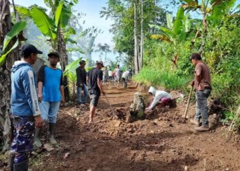 Pemkab Pasaman Barat Genjot Pembangunan Jalan Usaha Tani, Dana Desa Diarahkan Dukung Petani 7 Gunakan Dana Desa, Pemnag Koto Panjang Buka Jalan Usaha Tani di Jorong Sungai Jariang