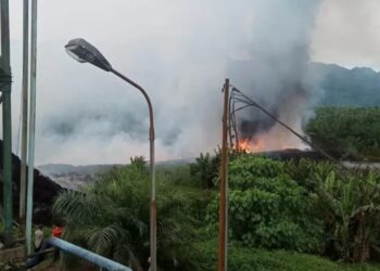 Sejak 2018-2021, PT AWL Pasaman Barat Nunggak Pajak Penerangan Non PLN Sebesar Rp113 Juta