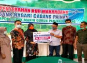 Total Dana Capai Rp500 Juta, Bank Nagari Painan Luncurkan Kredit MaRanDang