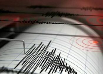 Pembangkit Gempa Pagai Mentawai di Zona Megathrust, Mampu Bangkitkan Gempa Magnitudo 8,9