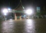 Hujan Deras! Kota Padang Dikepung Genangan dan Pohon Tumbang