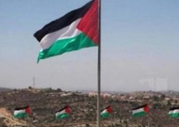 Rencana Israel Bangun Zona Penyangga di Gaza Utara Ditolak Otoritas Palestina 20 ilustrasi bendera Palestina. (net)