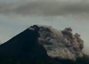 Gunung Merapi Luncurkan Awan Panas, 8 Kecamatan di Magelang Terdampak Hujan Abu