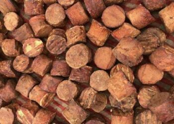 Lawan Monopoli Harga Gambir, Ini Siasat dari Pemprov Sumbar