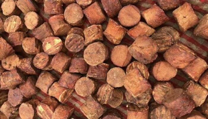 Harga Gambir Timpang, Bupati Limapuluh Kota Minta Pemerintah Pusat Turun Tangan