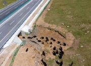 Membentang Antara Kota Nagchu dan Lhasa, Jalan Tol di China Ini Tertinggi di Dunia