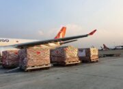 Untuk Penanganan COVID-19, Indonesia Terima Bantuan Senilai Rp100 Miliar dari Turki