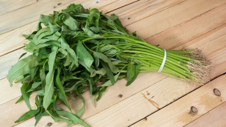 Sayur kangkung. (dok. istimewa)