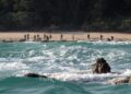 North Sentinel Island, Pulau Suku Primitif di India yang Nekat Tombak Pendatang Asing